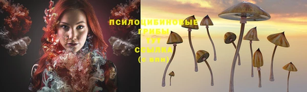 гидропоника Армянск
