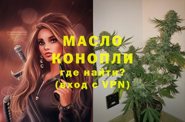 мет Арсеньев