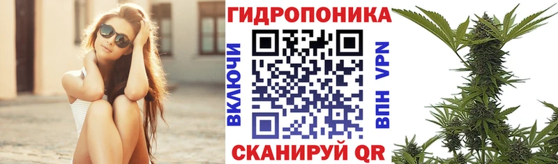 Каннабис планчик  Купить где  Фролово 